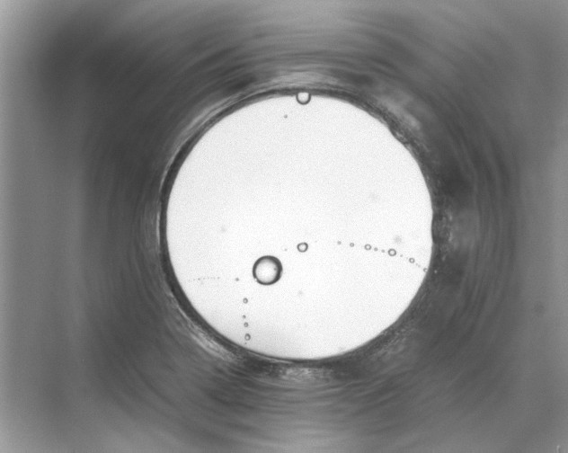 X0000070211322200606091614