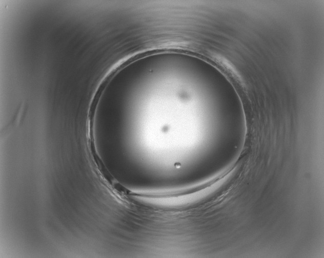 X0000070211324200606091614