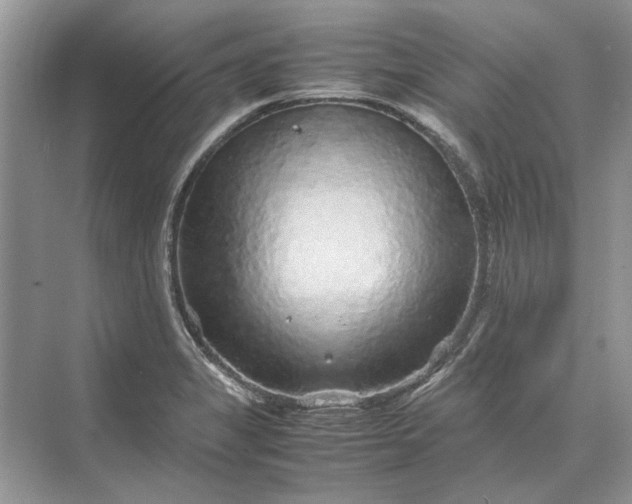 X0000070211325200606091614