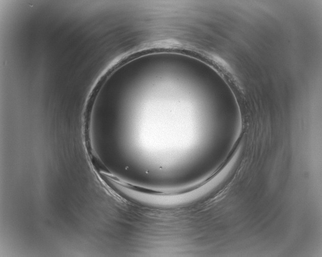 X0000070211326200606091614