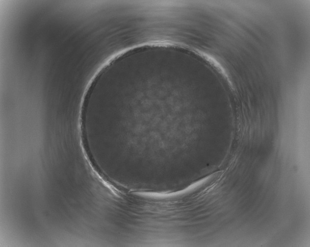 X0000070211327200606091614