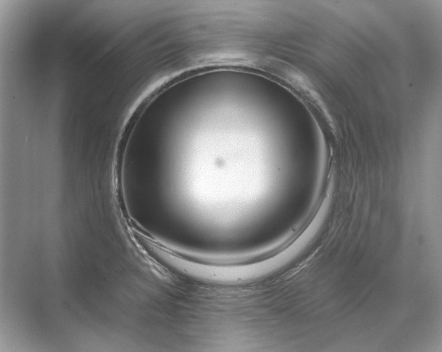 X0000070211328200606091614