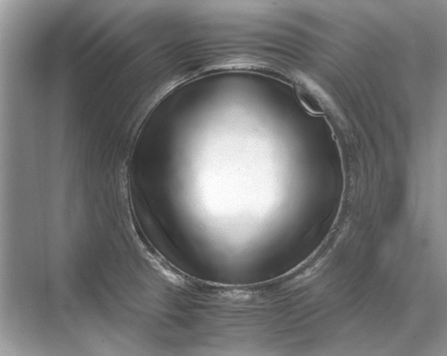 X0000070211329200606091614