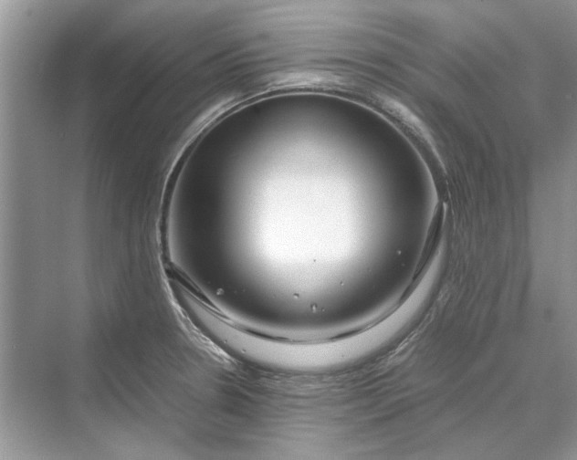 X0000070211330200606091614