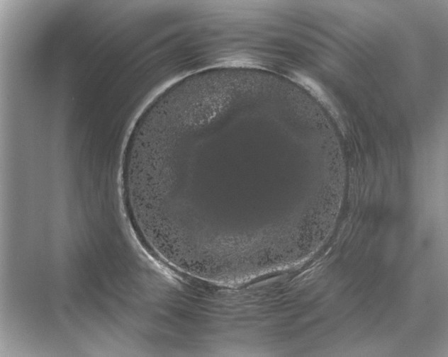 X0000070211331200606091614