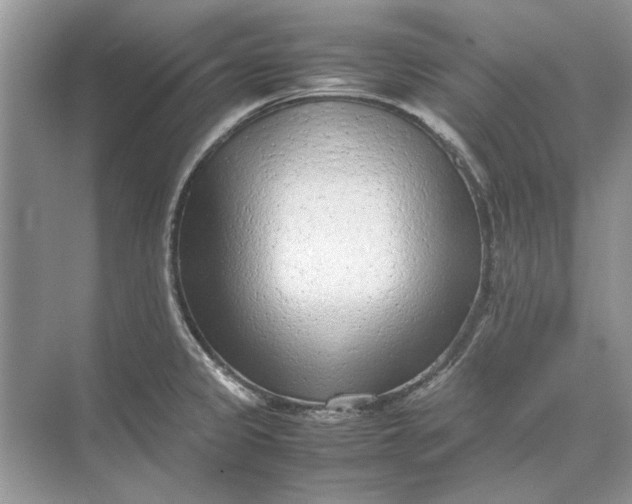 X0000070211333200606091614