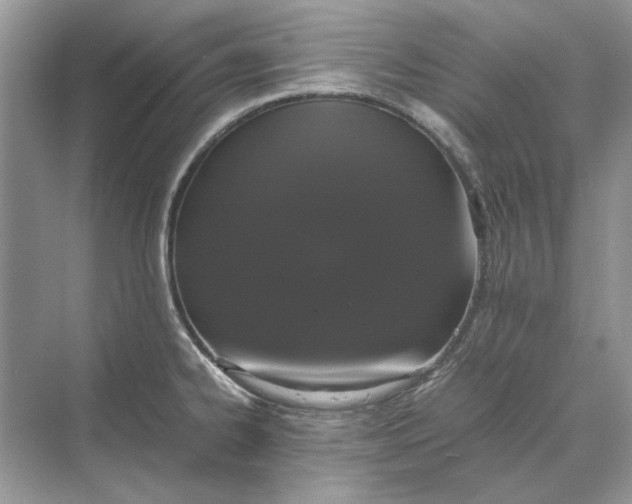 X0000070211334200606091614