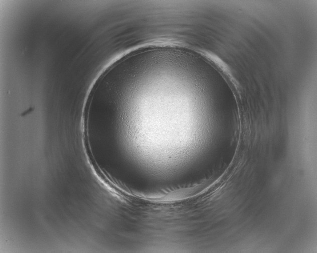 X0000070211335200606091614