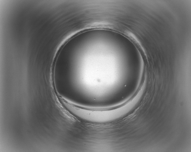 X0000070211336200606091614