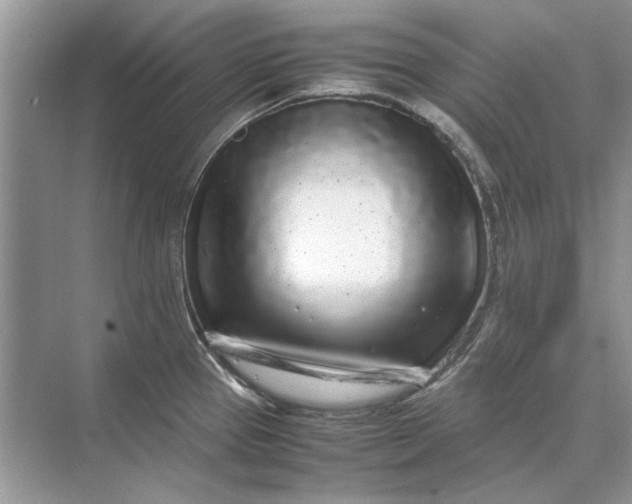 X0000070211337200606091614