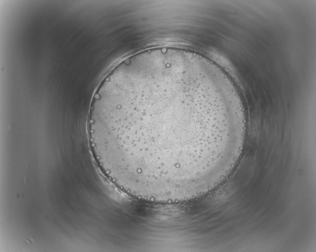 X0000070211338200606091614