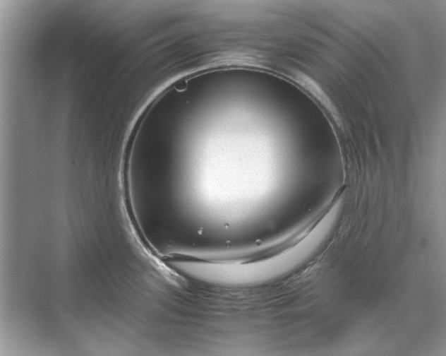 X0000070211339200606091614