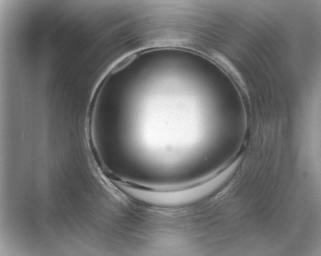 X0000070211340200606091614