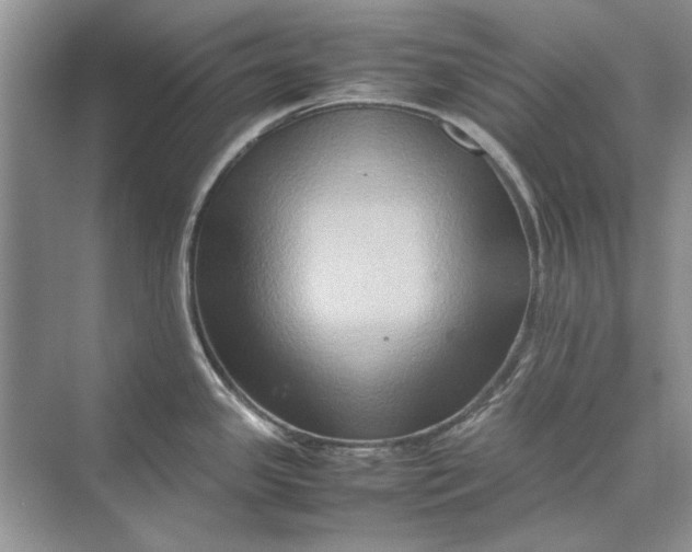 X0000070211341200606091614