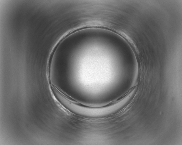 X0000070211342200606091614