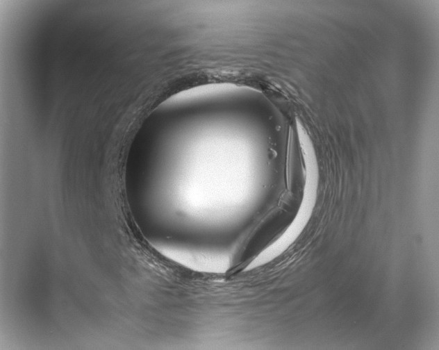 X0000070211345200606091614