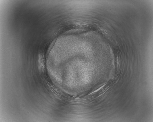 X0000070211346200606091614