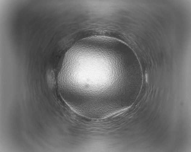 X0000070211347200606091614