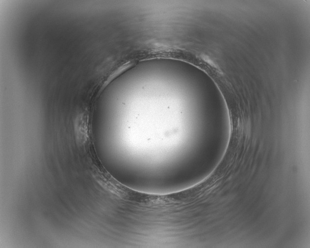 X0000070211348200606091614