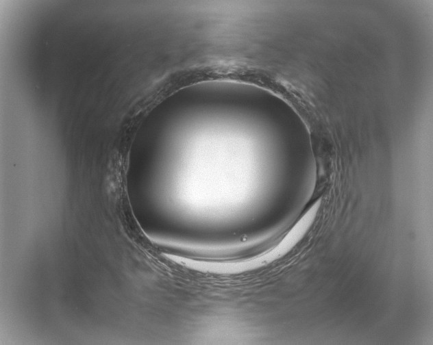 X0000070211349200606091614