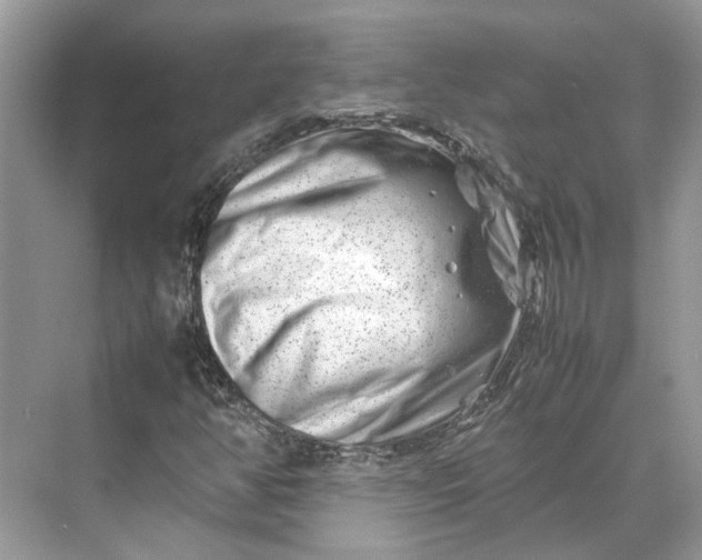 X0000070211350200606091614