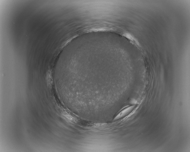 X0000070211353200606091614