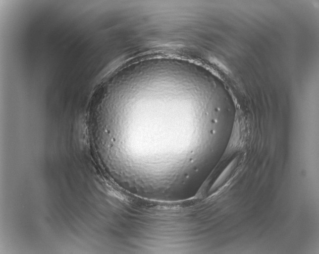 X0000070211354200606091613