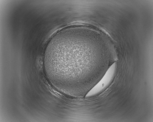 X0000070211355200606091613