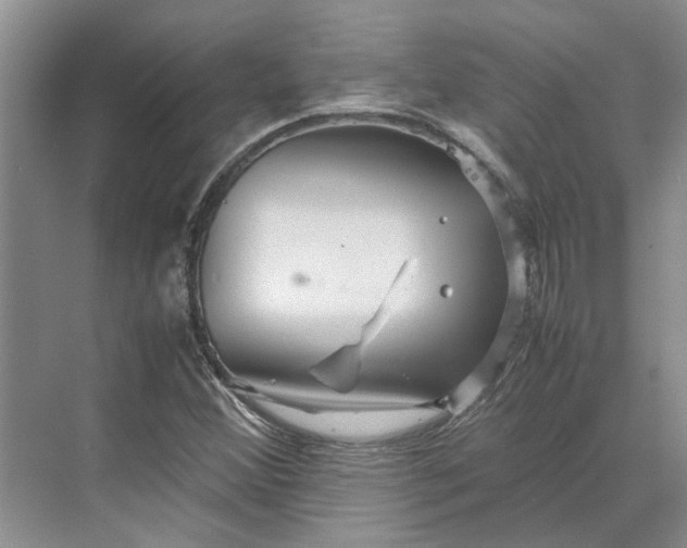 X0000070211356200606091613