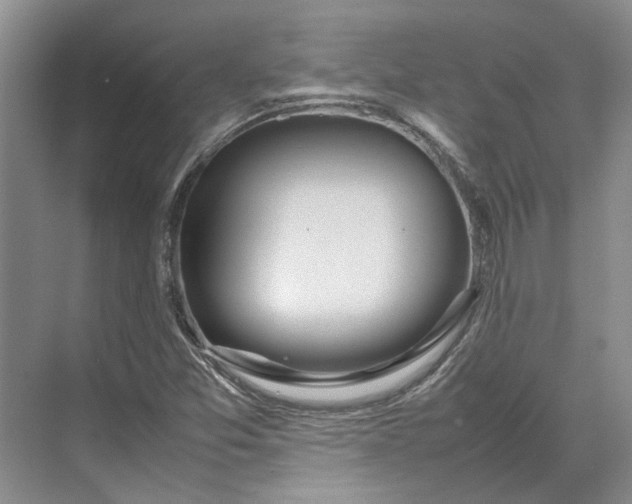 X0000070211357200606091613