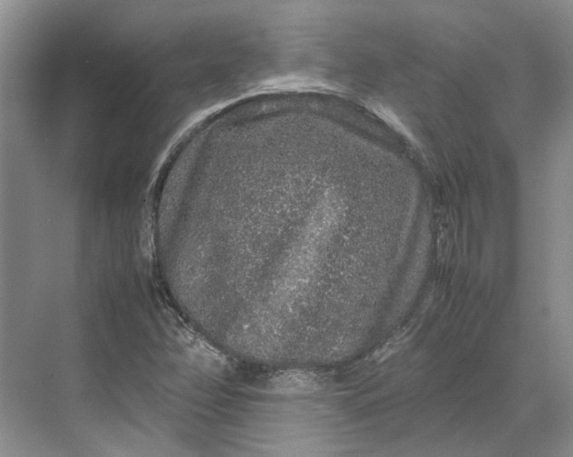 X0000070211358200606091613