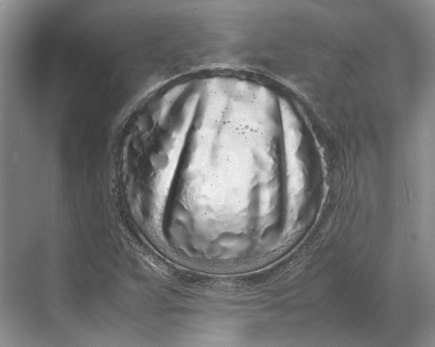 X0000070211359200606091613