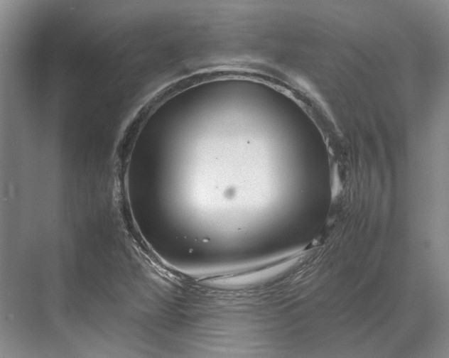 X0000070211360200606091613