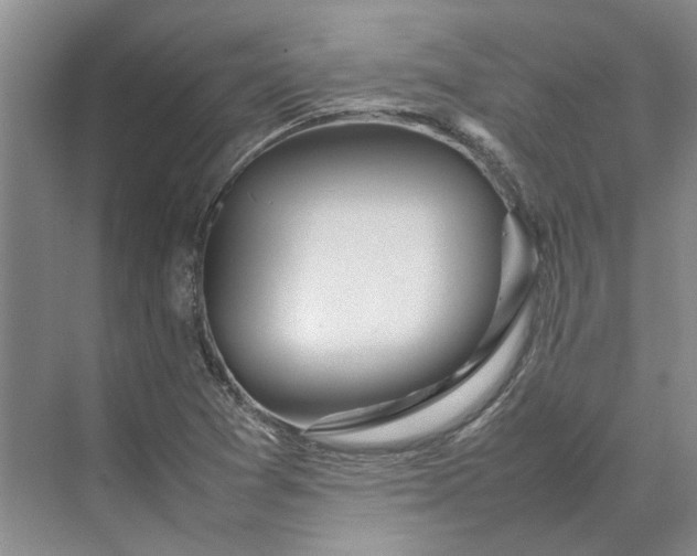 X0000070211361200606091613