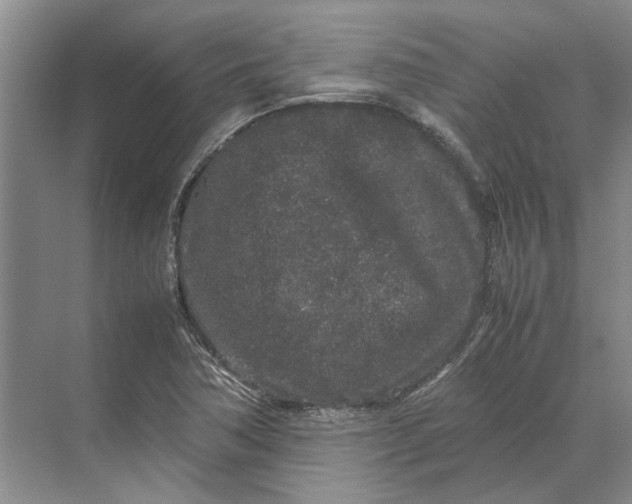 X0000070211362200606091613