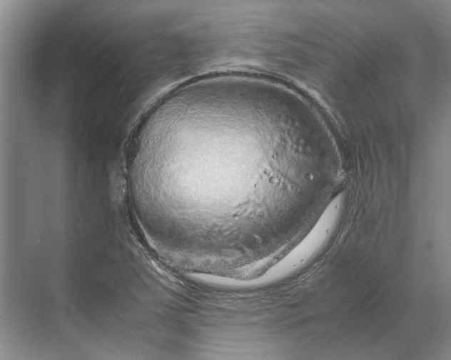 X0000070211363200606091613