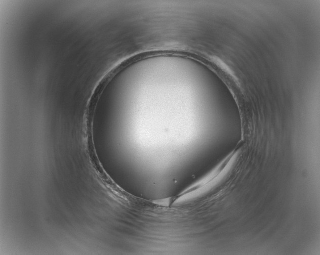 X0000070211364200606091613