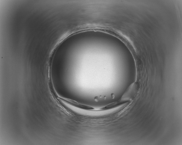 X0000070211365200606091613