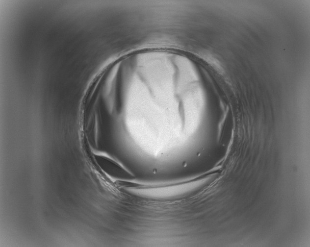 X0000070211366200606091613