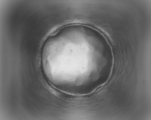 X0000070211367200606091613