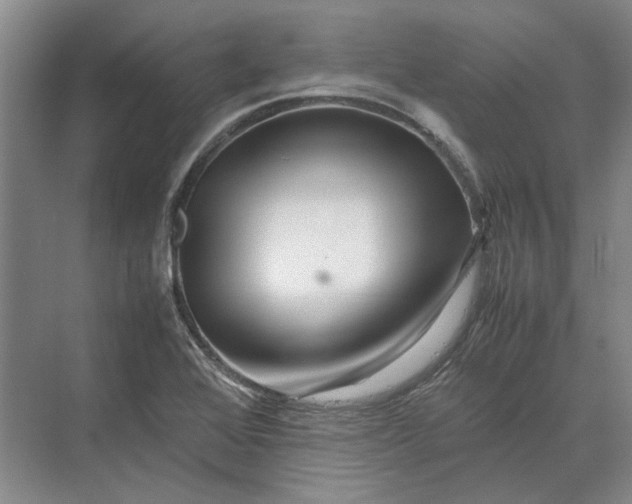 X0000070211368200606091613