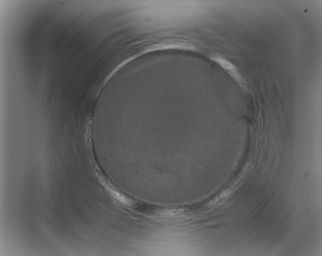 X0000070211369200606091613