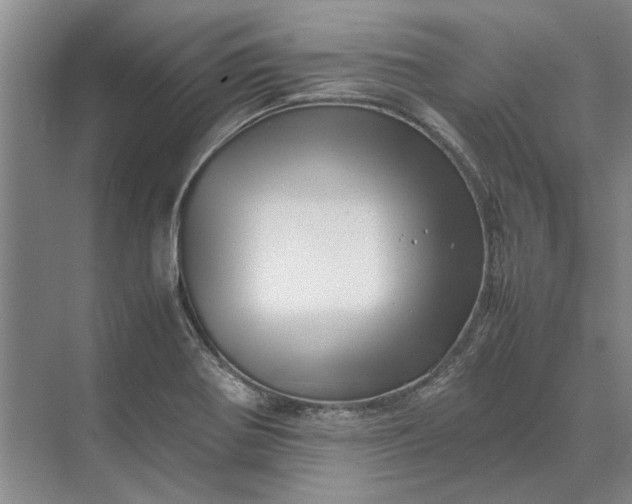 X0000070211370200606091613