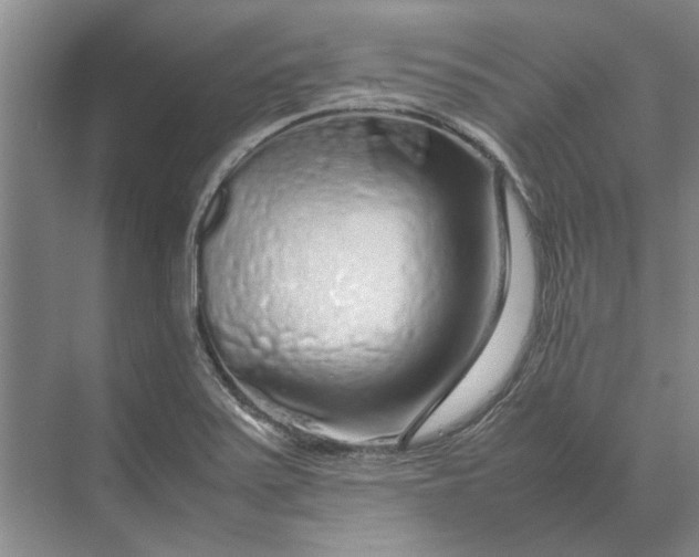 X0000070211371200606091613