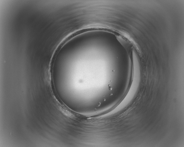 X0000070211372200606091613