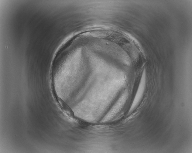 X0000070211373200606091613