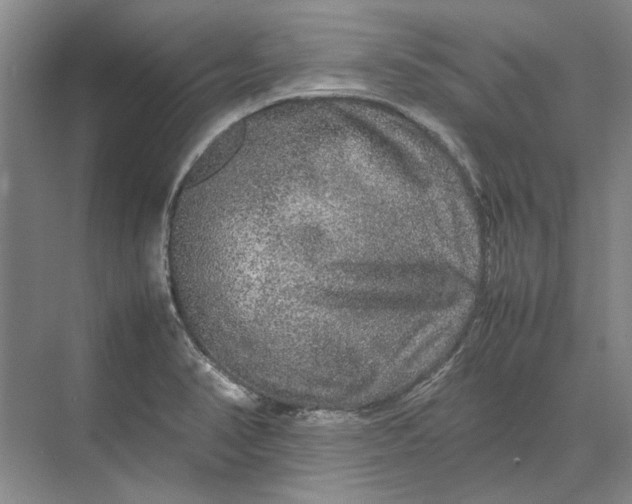 X0000070211374200606091613