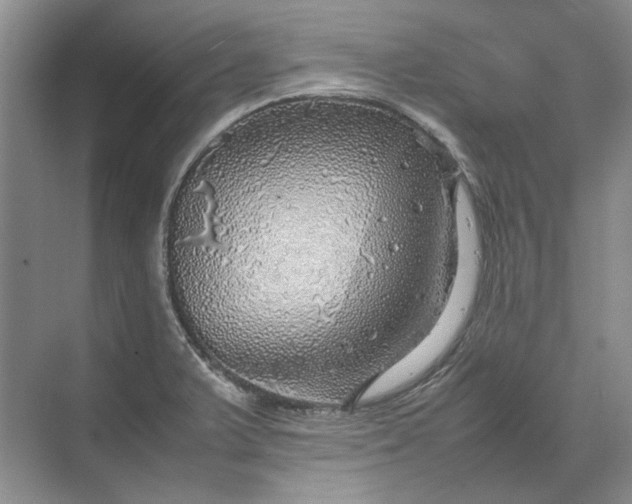 X0000070211375200606091613