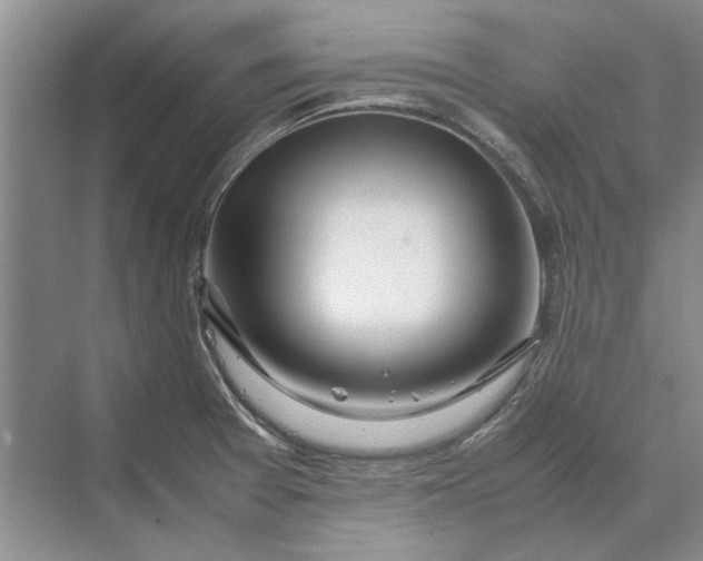 X0000070211377200606091613