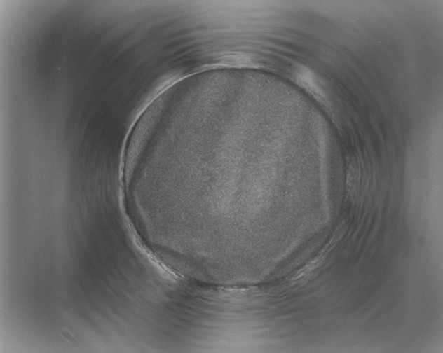 X0000070211378200606091613